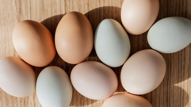 colori guscio uova
